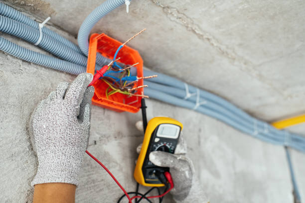 Best Electric Panel Repair  in Frent Hills, MO